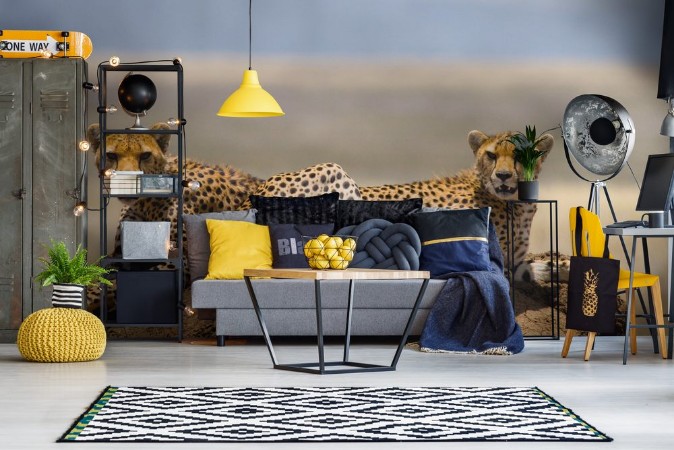 Obrázek Two cheetah on a hill in the savannah