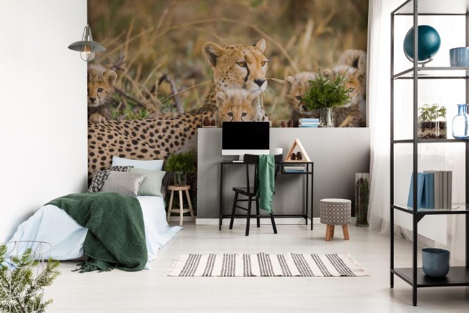 Obrázek The female cheetah with her cubs