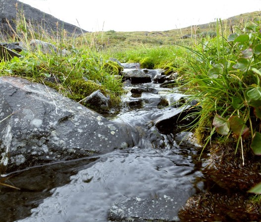Afbeeldingen van Spring in the Chukchi tundra