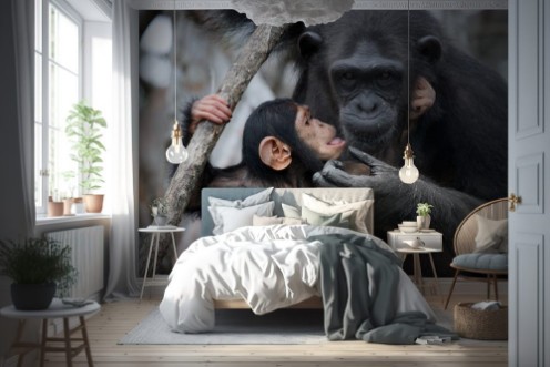 Bild på Baby and mother Chimpanze