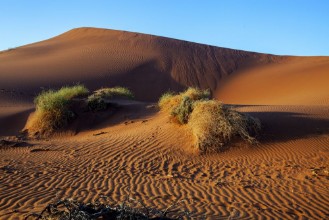 Bild von Desert landscape in Namibia