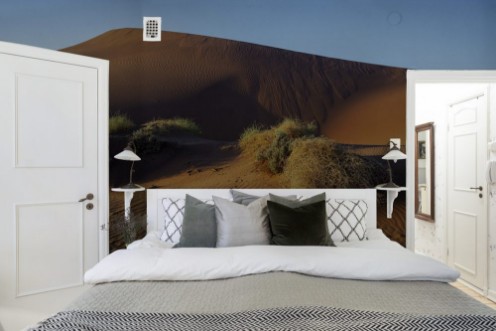 Obrazek Desert landscape in Namibia