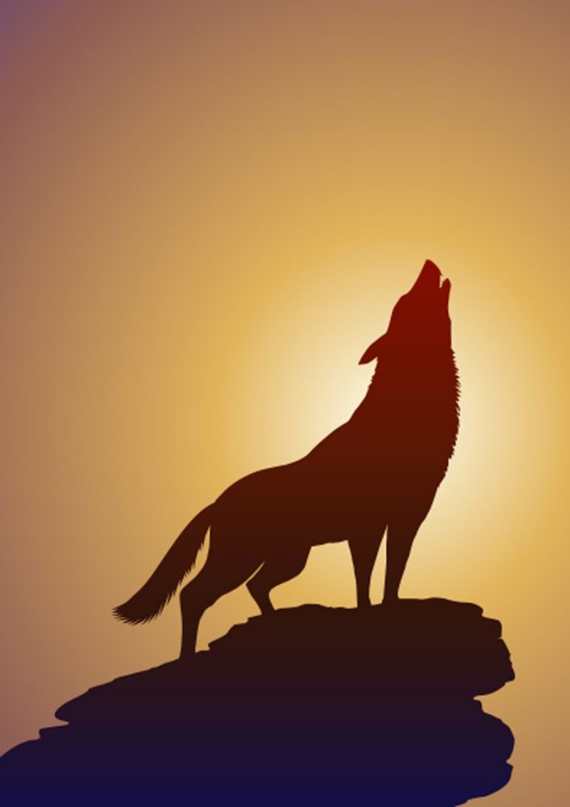 Picture of Kurt ve   Ergenokon renkli