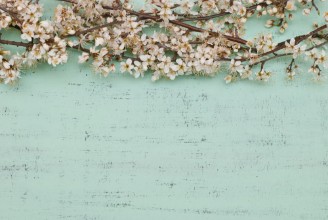 Image de Branches florales