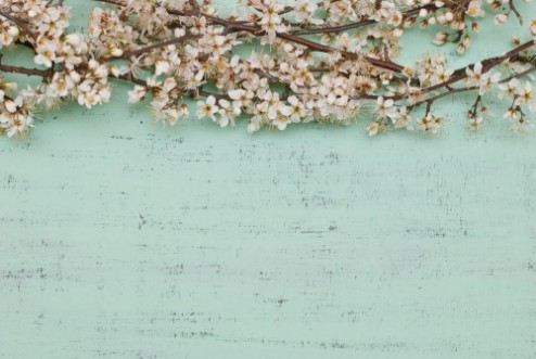 Picture of Blomstergrene