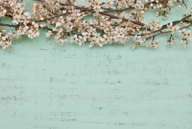 Picture of Kukkien oksat