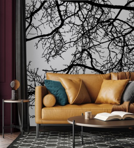 Picture of Tree Branches