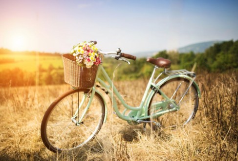 Снимка на Vintage bicycle with basket full of flowers standing in field