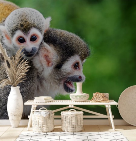 Εικόνα της Squirrel Monkey Mother and Child