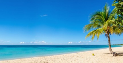 Bild på Amazing sandy beach with coconut palm tree and blue sky Caribbe