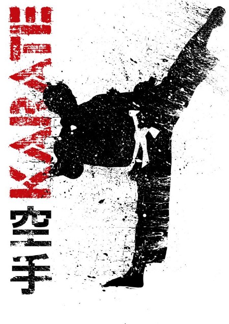 Picture of Karate