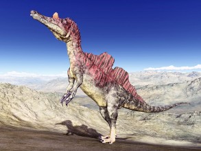 Image de Dinosaur Ichthyovenator