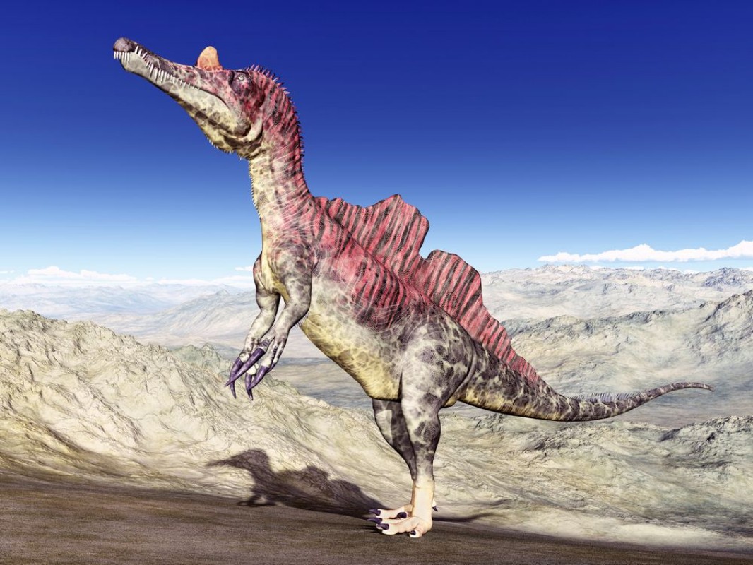 Afbeeldingen van Dinosaur Ichthyovenator