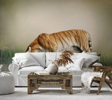 Picture of Tiger Near Pond