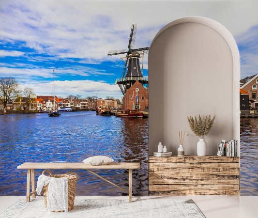 Bild på Traditional Holland - vamals and windmills Haarlem