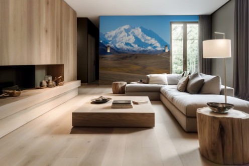 Afbeeldingen van Mount McKinleys snowy peak with the park road in the foreground