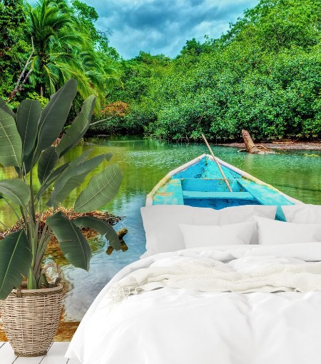 Picture of Old boat in tropical river