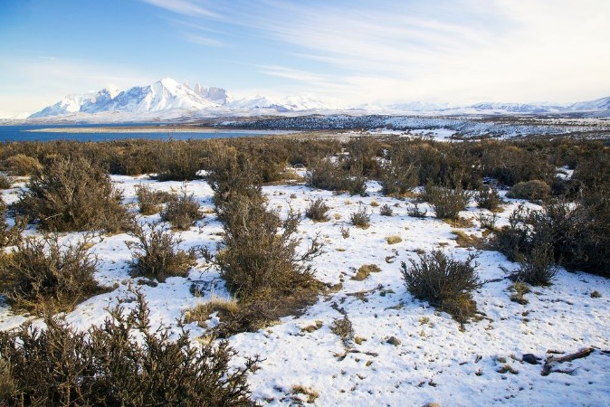 Picture of Torres del Paine