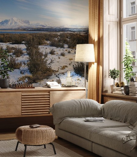 Picture of Torres del Paine