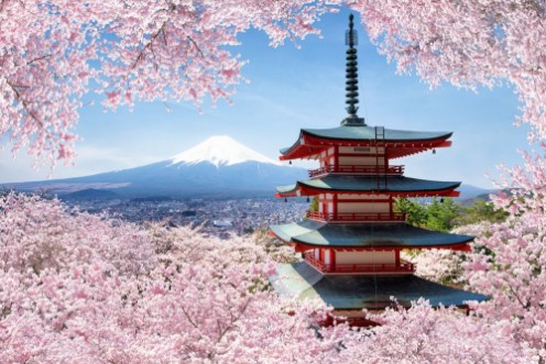 Image de Chureito Pagoda in Fujiyoshida in spring