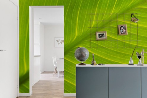 Afbeeldingen van Leaf texture