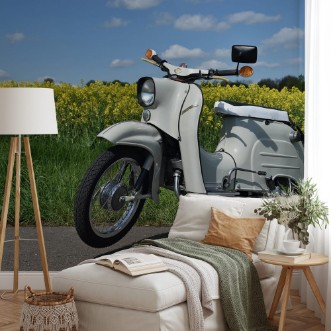 Afbeeldingen van Moped Schwalbe vor Rapsfeld