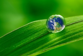 Bild von Leaf with rain droplets - Recovery earth concept