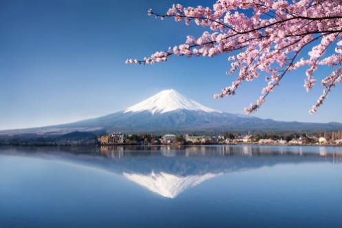 Picture of Mount Fuji