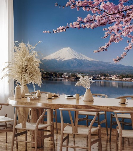 Picture of Mount Fuji