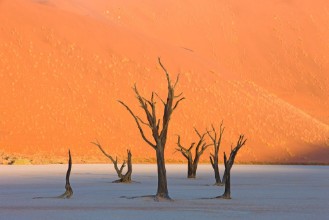 Image de Dead Vlei in der Namib