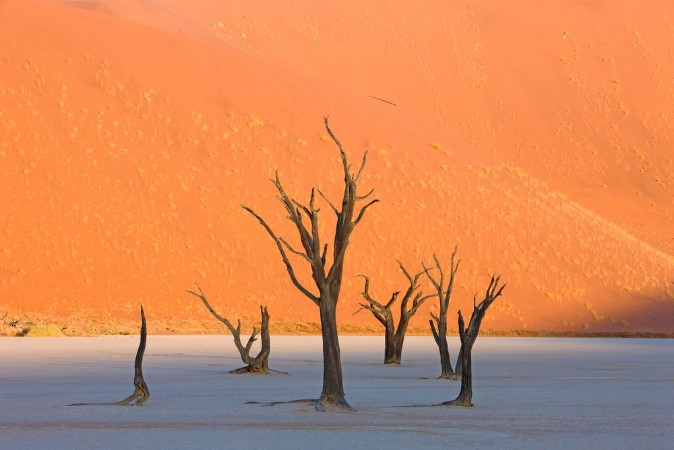 Image de Dead Vlei in der Namib
