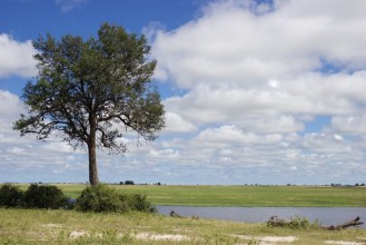 Image de Botswana Landscape
