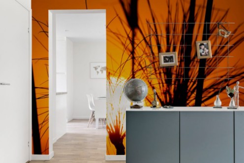 Afbeeldingen van The silhouette of papyrus at sunset