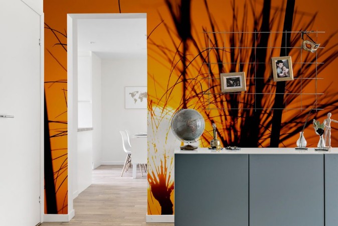 Bild på The silhouette of papyrus at sunset