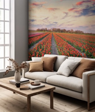 Afbeeldingen van Colorful spring sunrise on the tulip farm near the Espel village