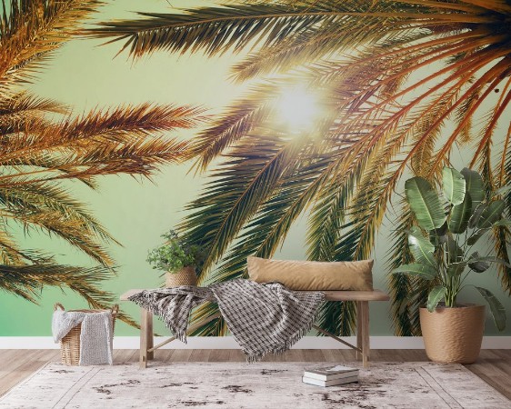 Afbeeldingen van Palm trees and shining sun over bright sky