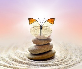 Picture of Butterfly and stones balance
