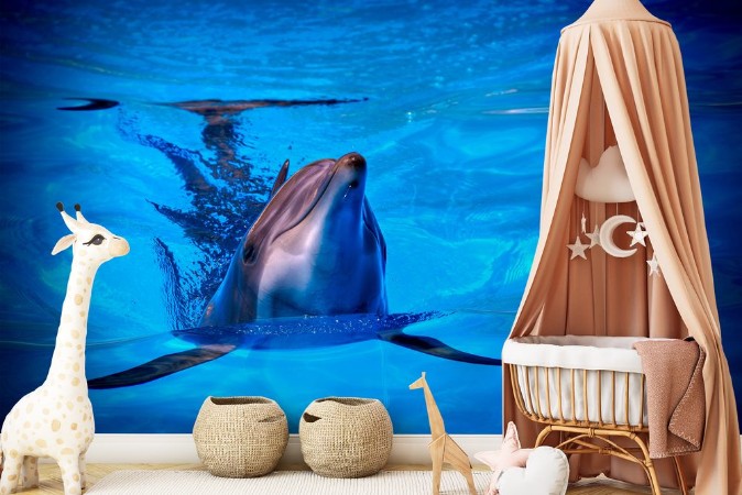 Afbeeldingen van Delfn 