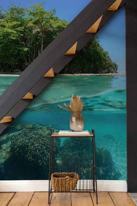 Picture of Tropical shore above and below sea surface