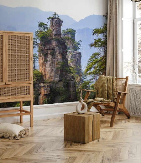 Afbeeldingen van Scene of rock mountain in Zhangjiajie National Forest ParkHunan