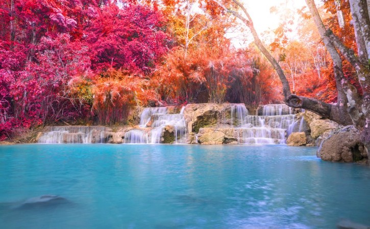 Picture of Waterfall in rain forest Tat Kuang Si Waterfalls at Luang praba