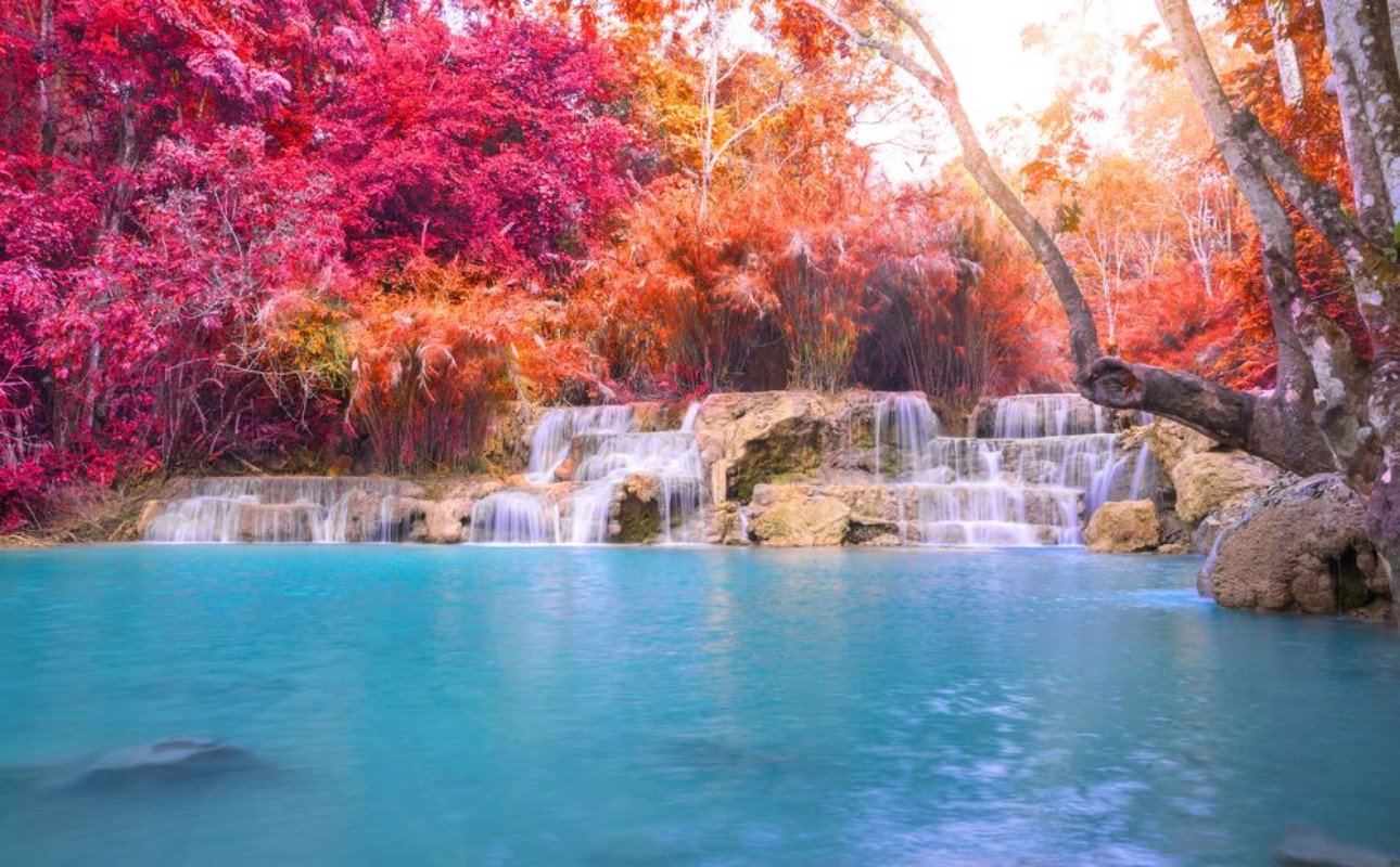 Afbeeldingen van Waterfall in rain forest Tat Kuang Si Waterfalls at Luang praba