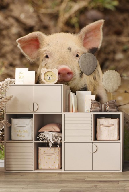 Afbeeldingen van Cute little piglet
