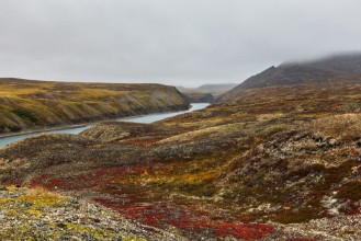 Afbeeldingen van Autumn tundra in fog and river Amguema Arctic Circle Russia