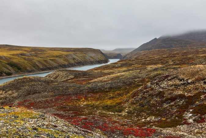 Imagem de Autumn tundra in fog and river Amguema Arctic Circle Russia