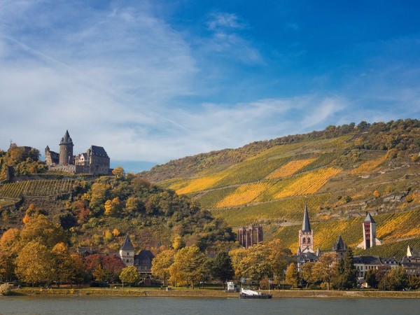 Picture of Im Mittelrheintal