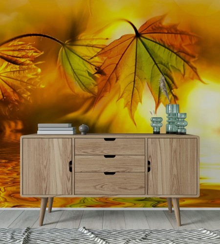 Image de Mesmerizing Maple