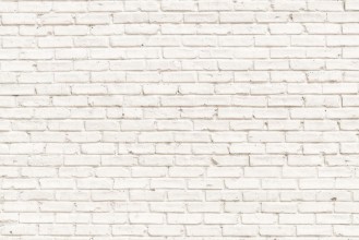 Pilt White Brick Wall