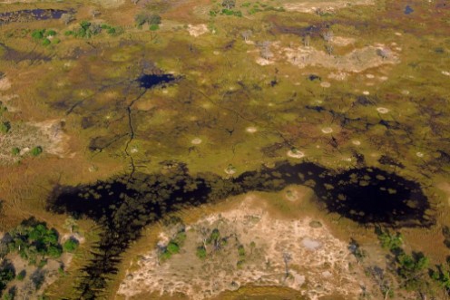 Afbeeldingen van Botswana