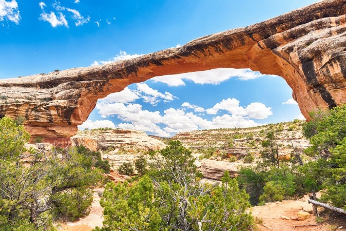 Image de Owachomo Bridge